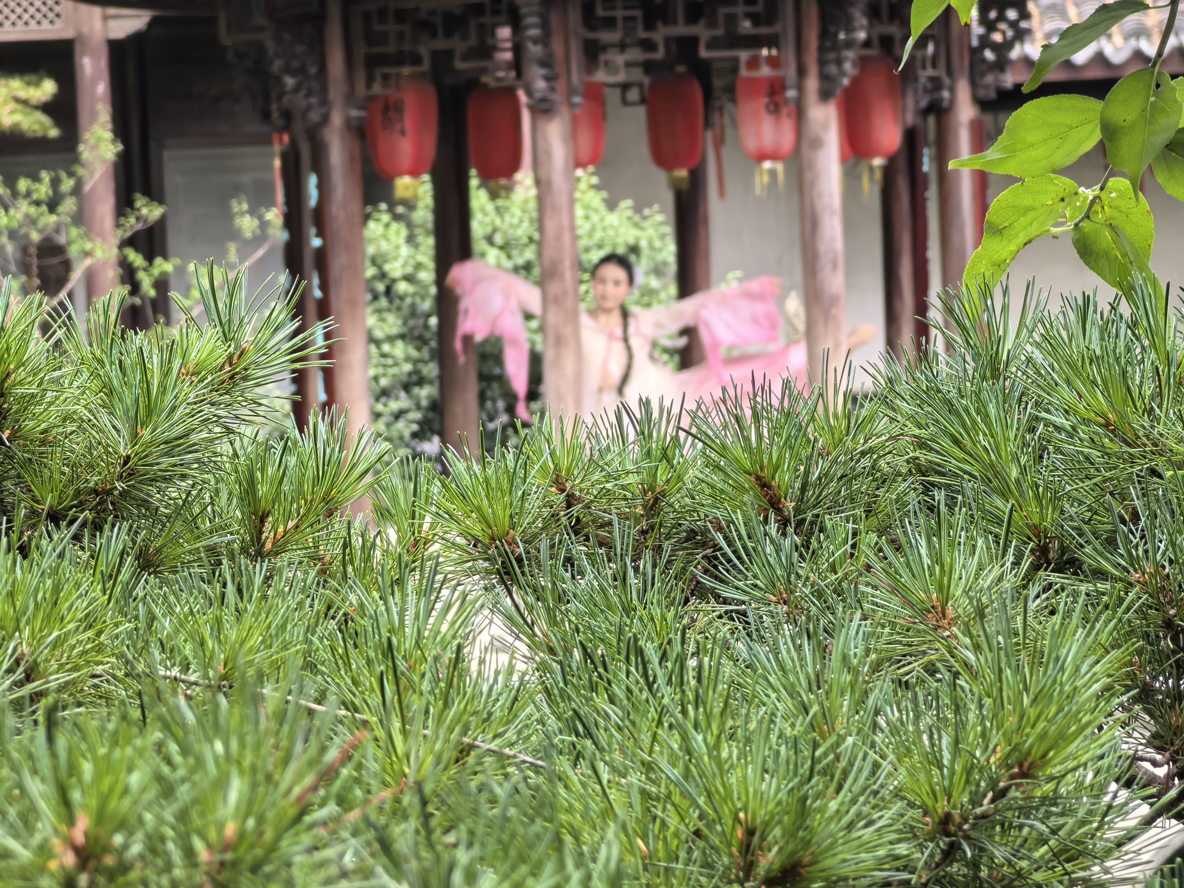 IMG-迟到一年的夏风——一个人在杭州旅行的四日-1D78535E330F9BEE87693CA64571267D.jpg