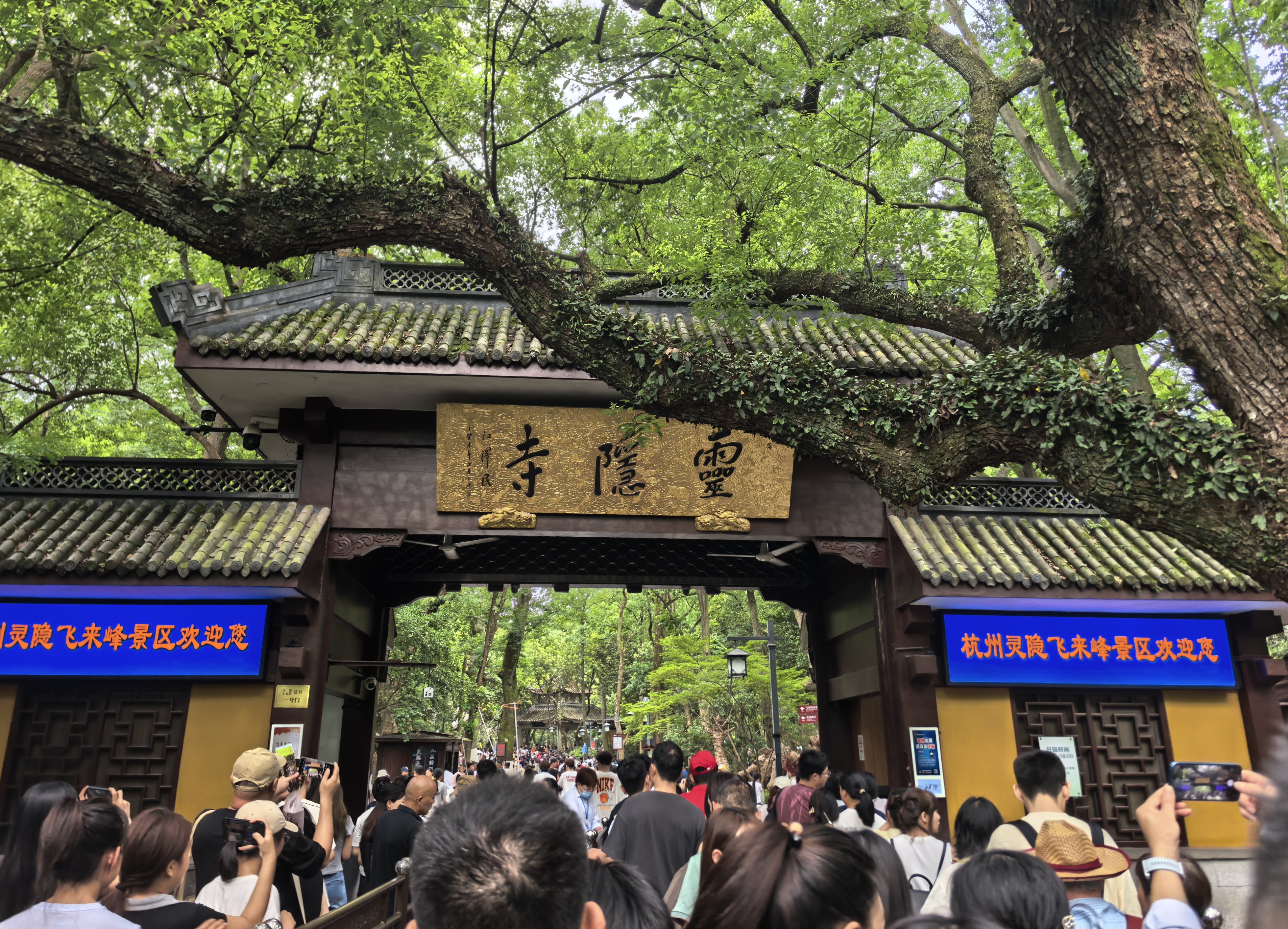 IMG-迟到一年的夏风——一个人在杭州旅行的四日-239313F902018406DA415311283A35C6.jpg