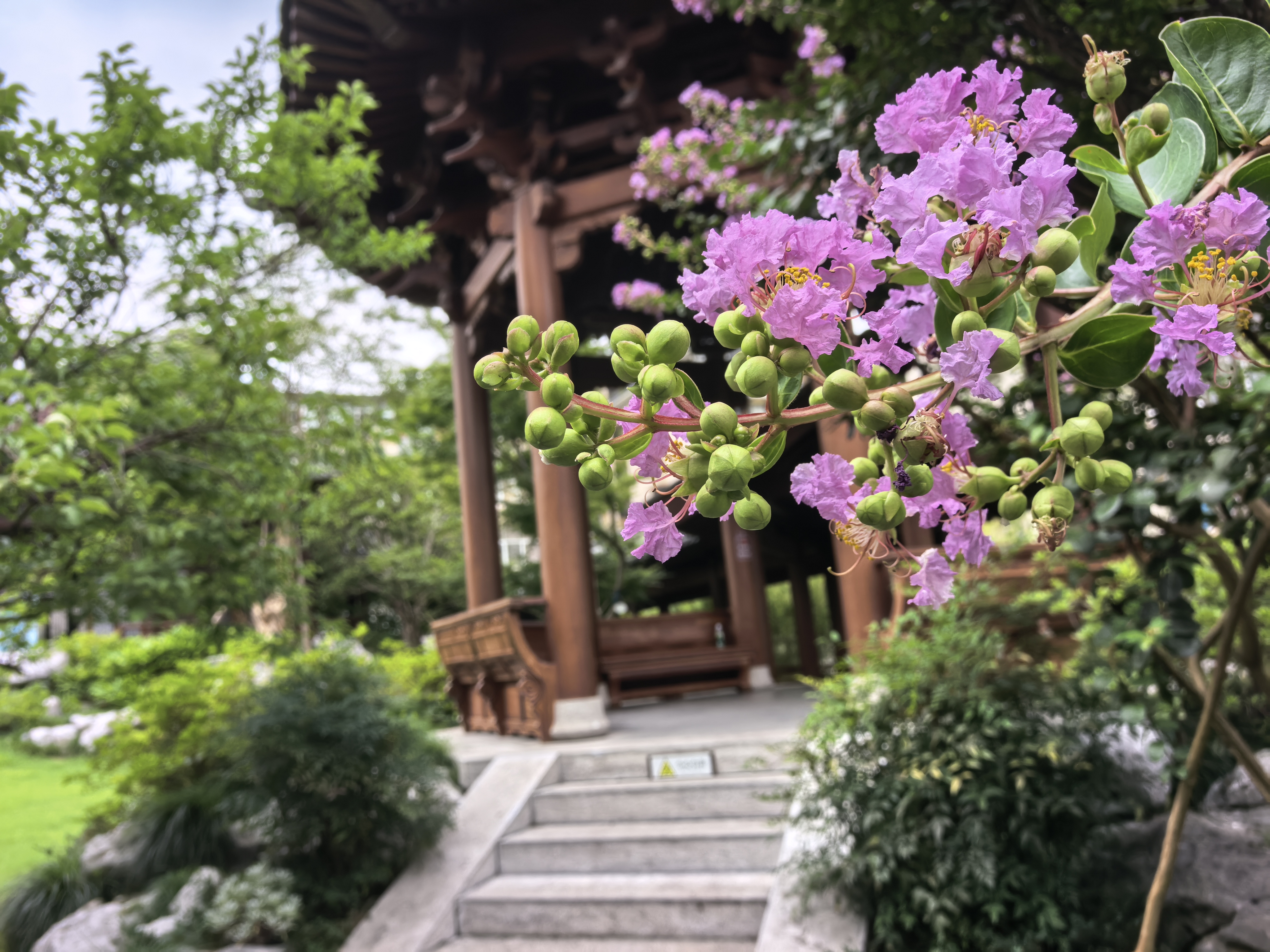 IMG-迟到一年的夏风——一个人在杭州旅行的四日-39CC3A494147623360A771E119123D5B.jpg