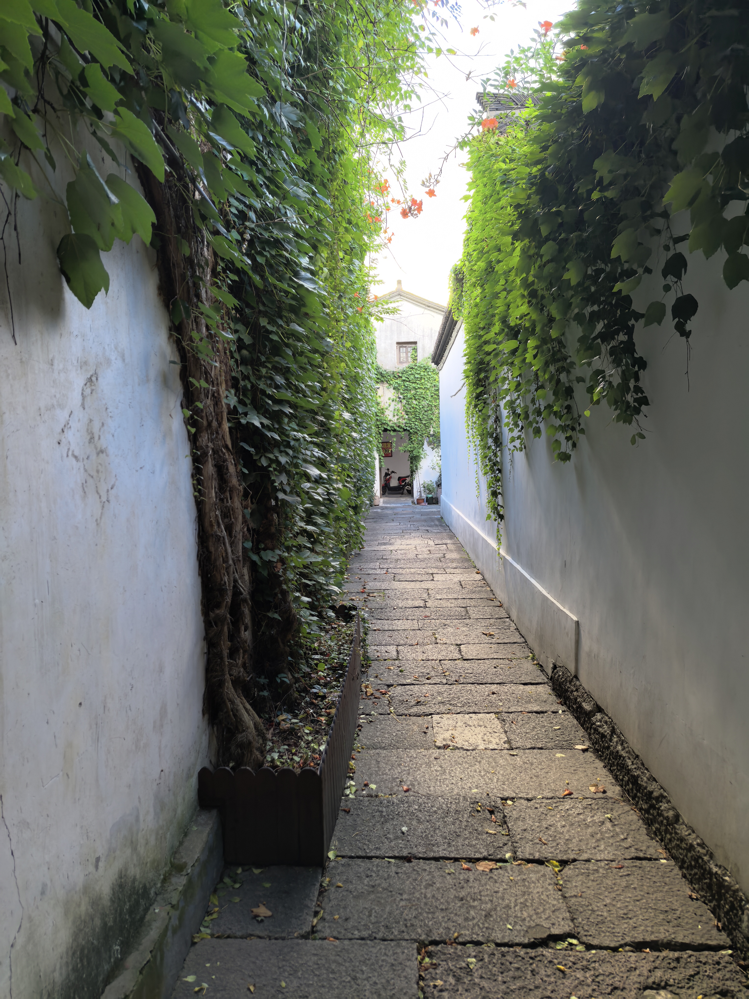 IMG-迟到一年的夏风——一个人在杭州旅行的四日-40E9622328CEEB36FD1C445214606864.jpg