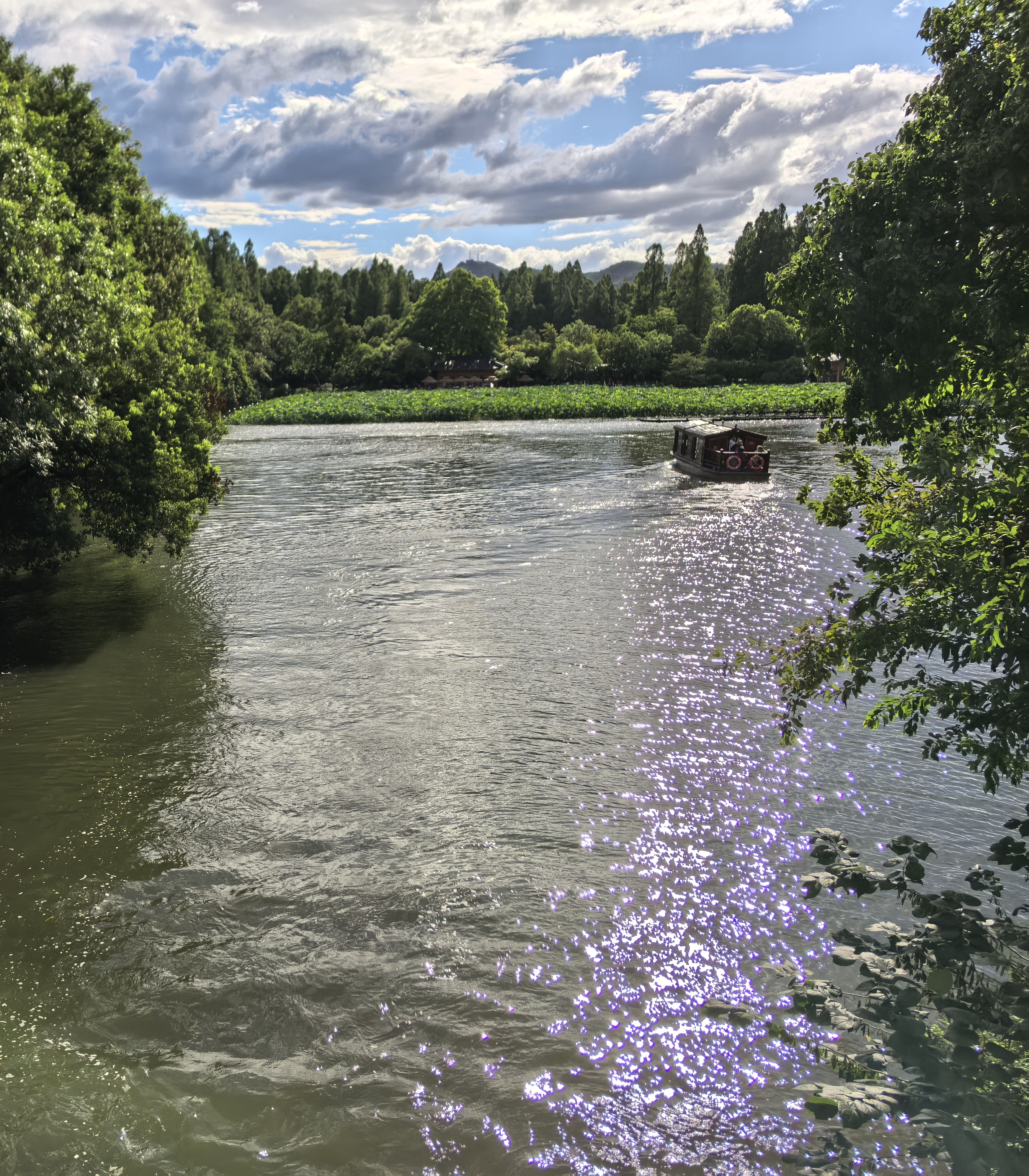 IMG-迟到一年的夏风——一个人在杭州旅行的四日-45C7475B4FC304F88E562F007A7DAE7E.png