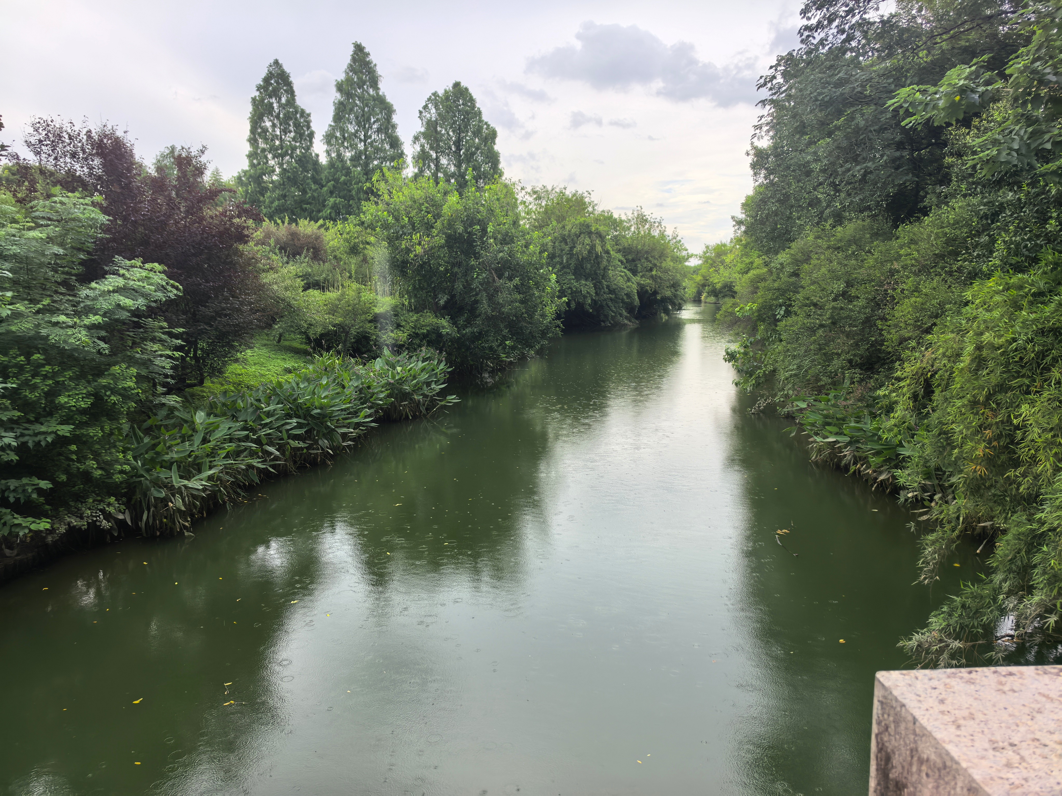 IMG-迟到一年的夏风——一个人在杭州旅行的四日-4BC24E523C5D8CE195A604F558A6AFCC.jpg