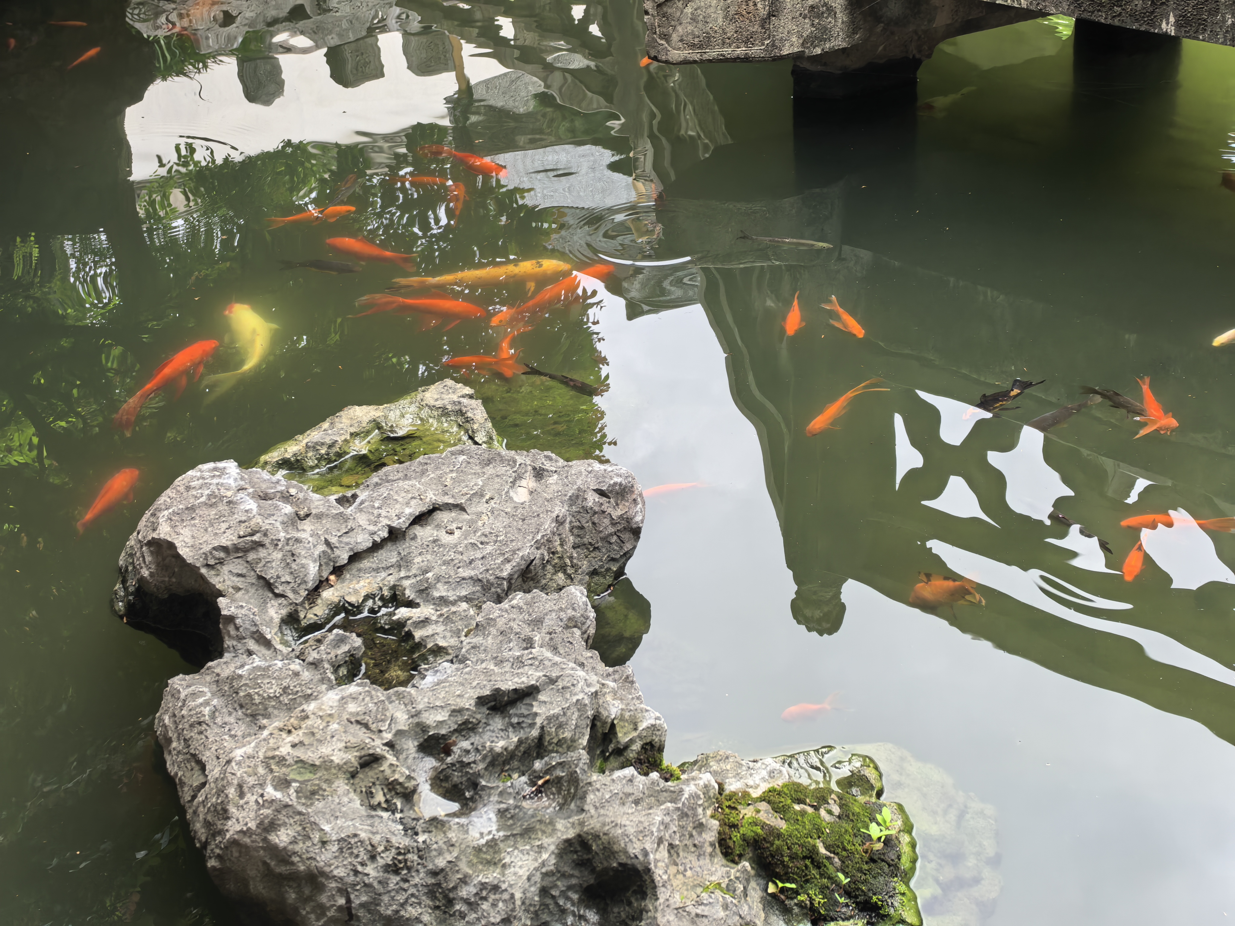 IMG-迟到一年的夏风——一个人在杭州旅行的四日-630622DB6434325110EC987223F2F22A.jpg