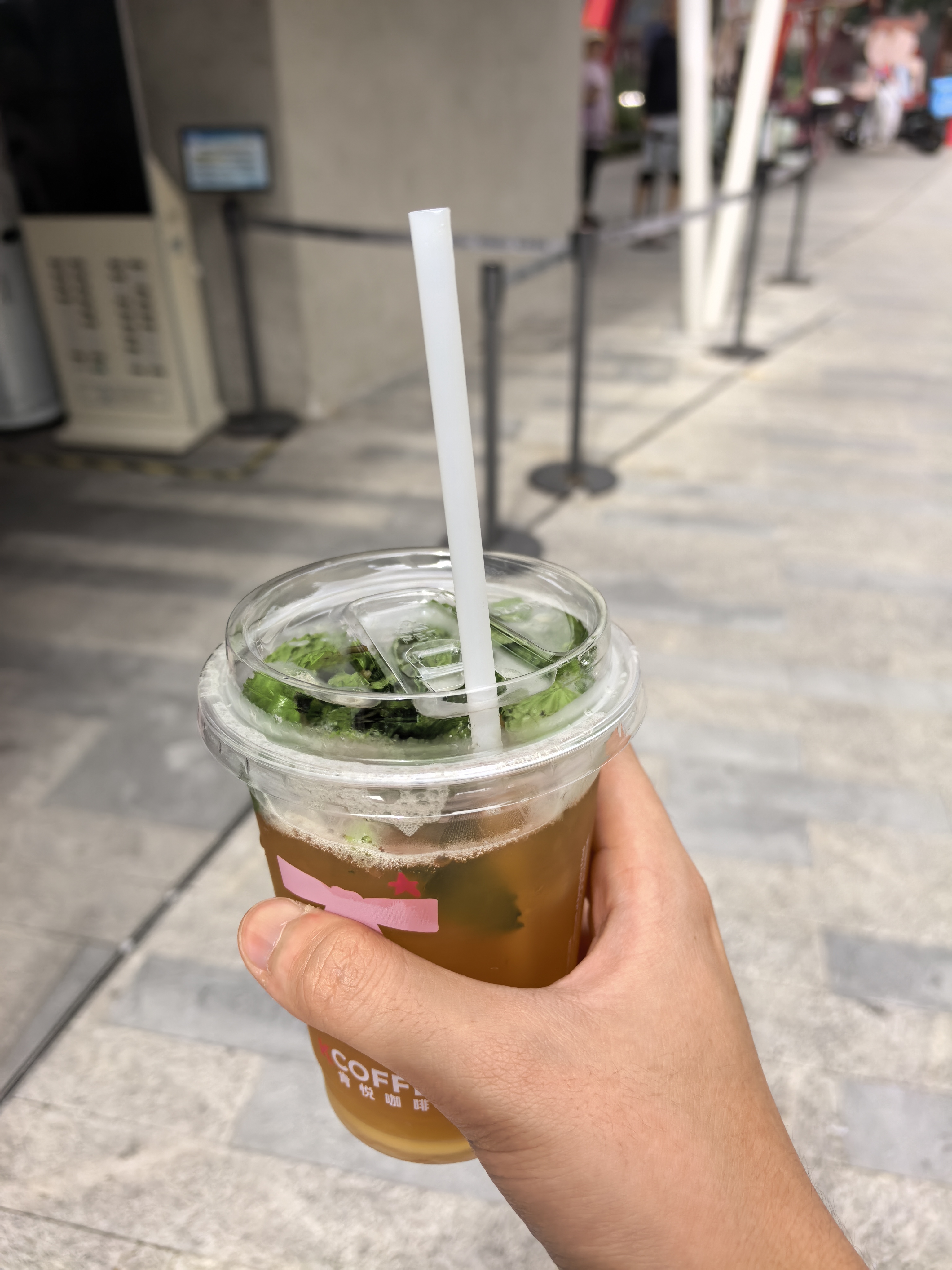IMG-迟到一年的夏风——一个人在杭州旅行的四日-6E789874760F86B4B9F1A1B7EF66C5A0.jpg
