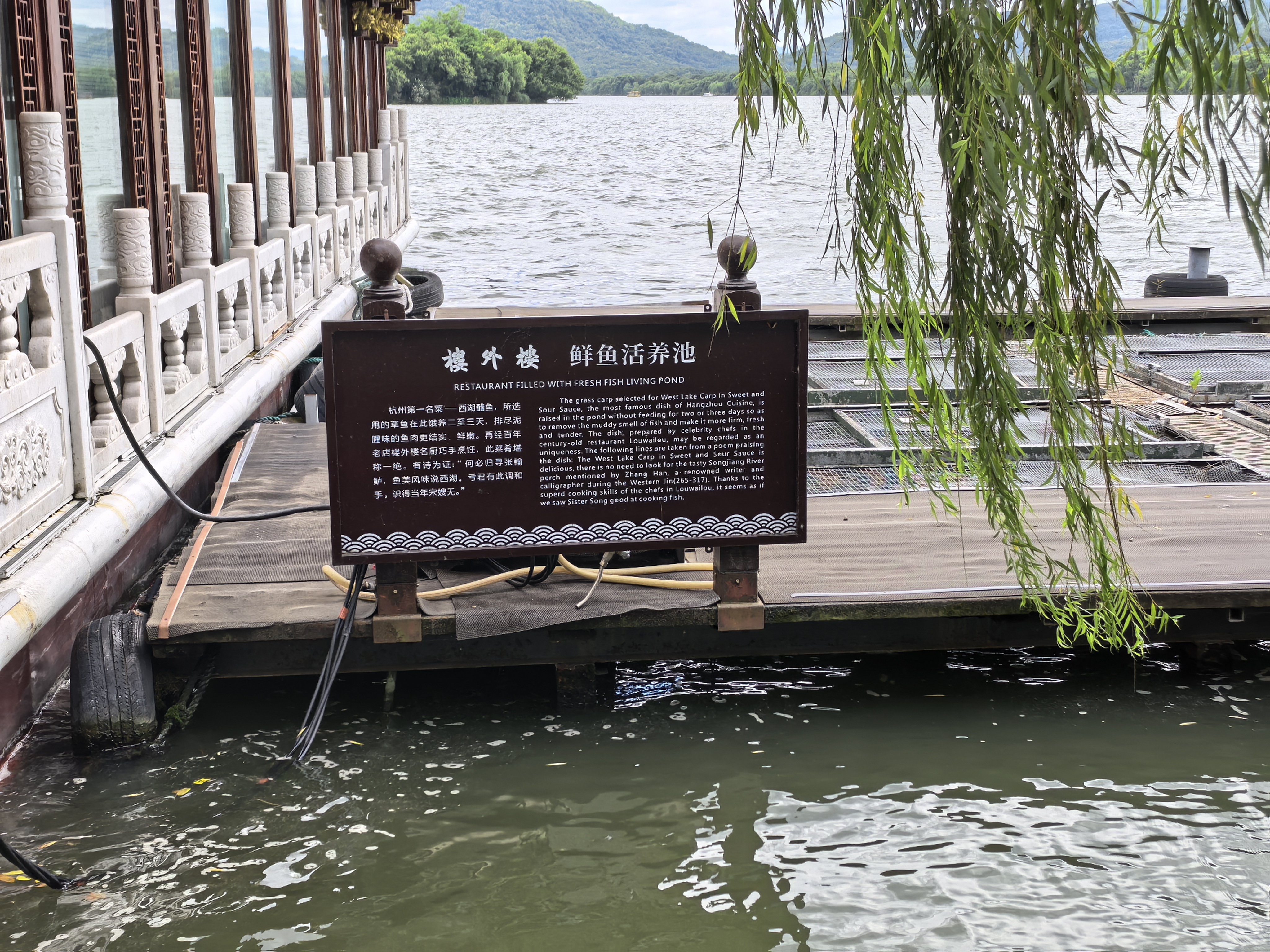 IMG-迟到一年的夏风——一个人在杭州旅行的四日-A09DB4170384E658F0F54F6A9D8BCC79.jpg