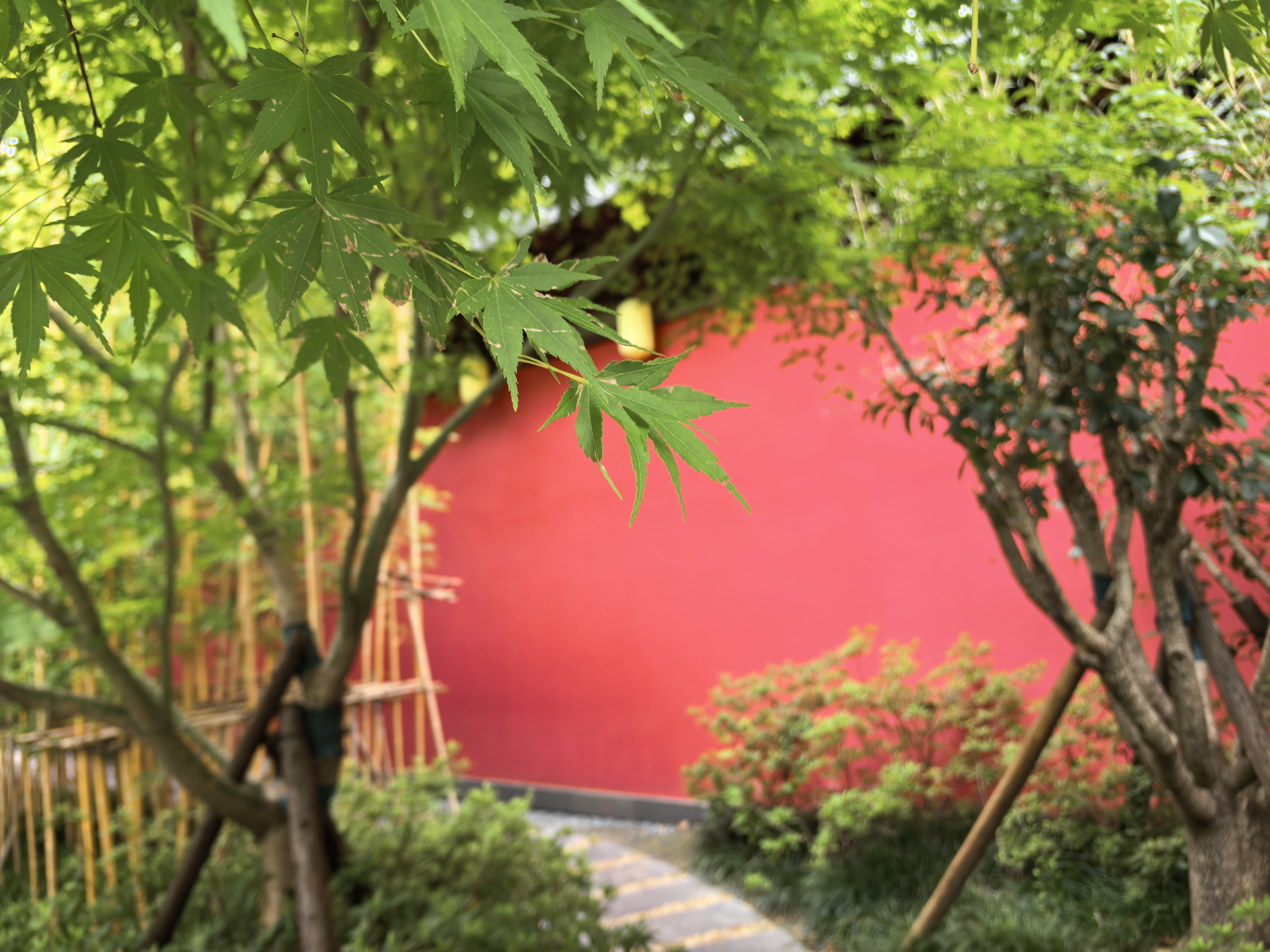 IMG-迟到一年的夏风——一个人在杭州旅行的四日-A1D3FBAB105C42BEDBE9E6D0E1CFE71D.jpg