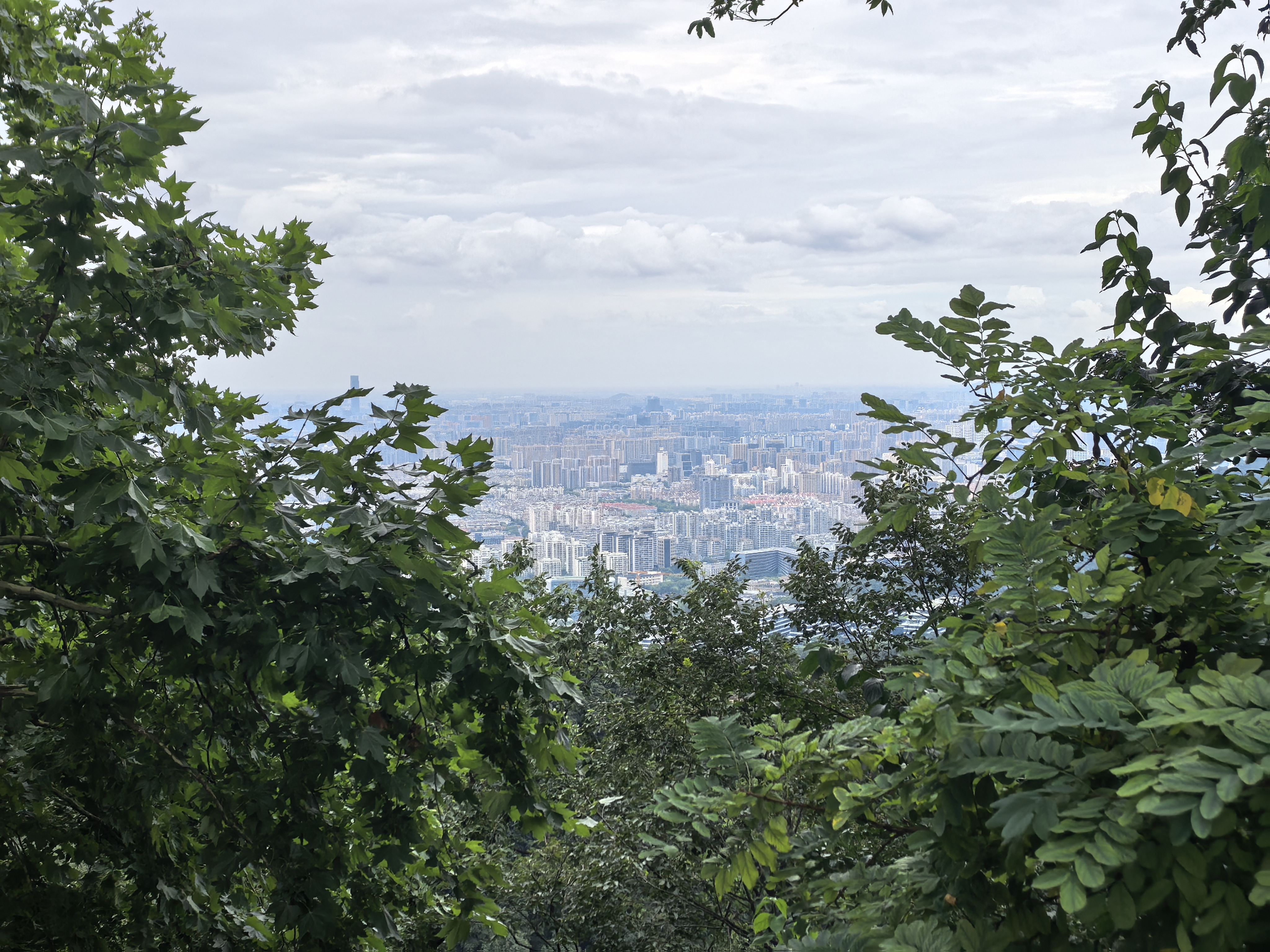 IMG-迟到一年的夏风——一个人在杭州旅行的四日-C11B63ED109CE9AA5D525953ED6A5F96.jpg