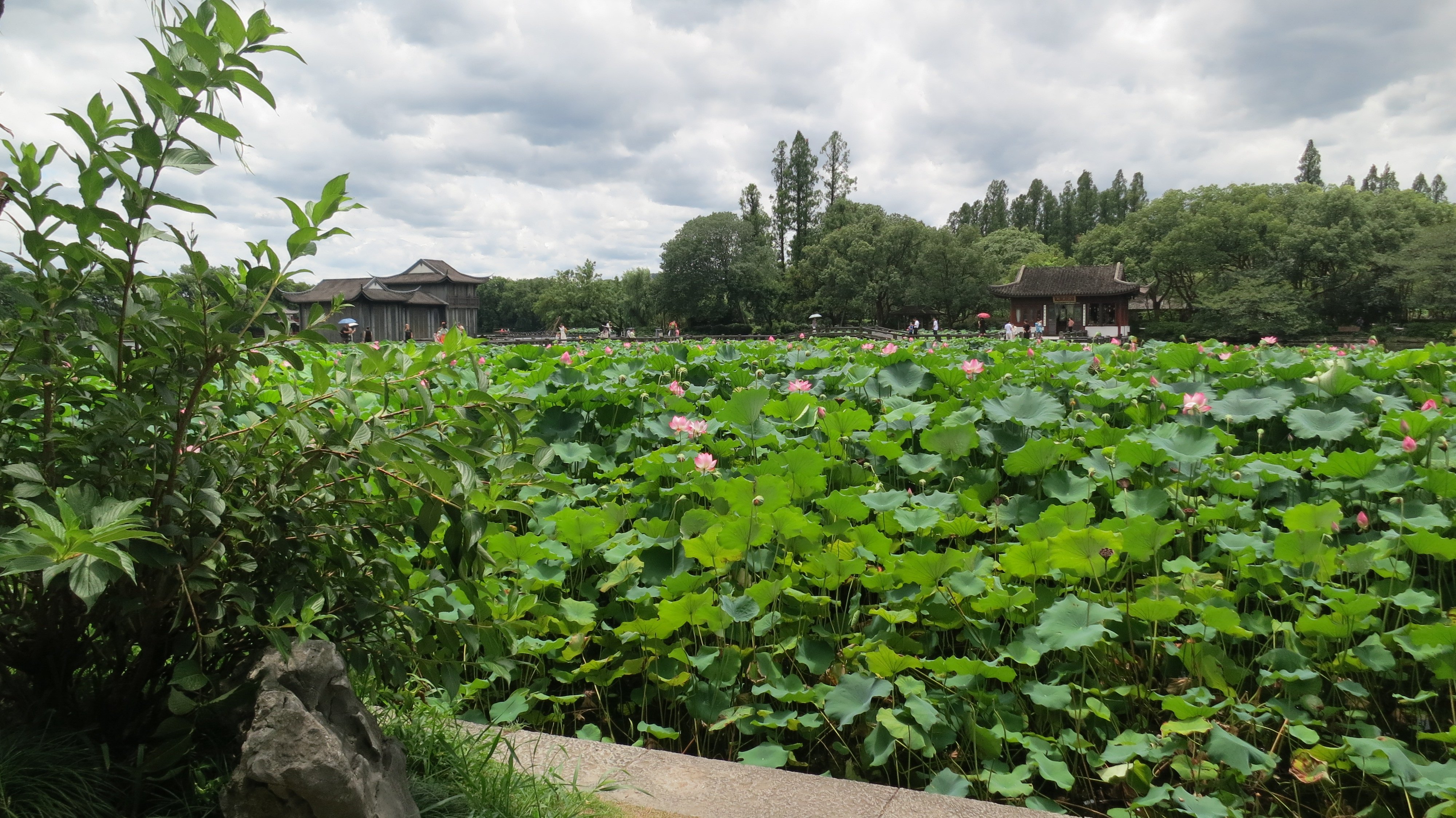 IMG-迟到一年的夏风——一个人在杭州旅行的四日-C78F1EBACEF28F266ED222795BA65092.jpg