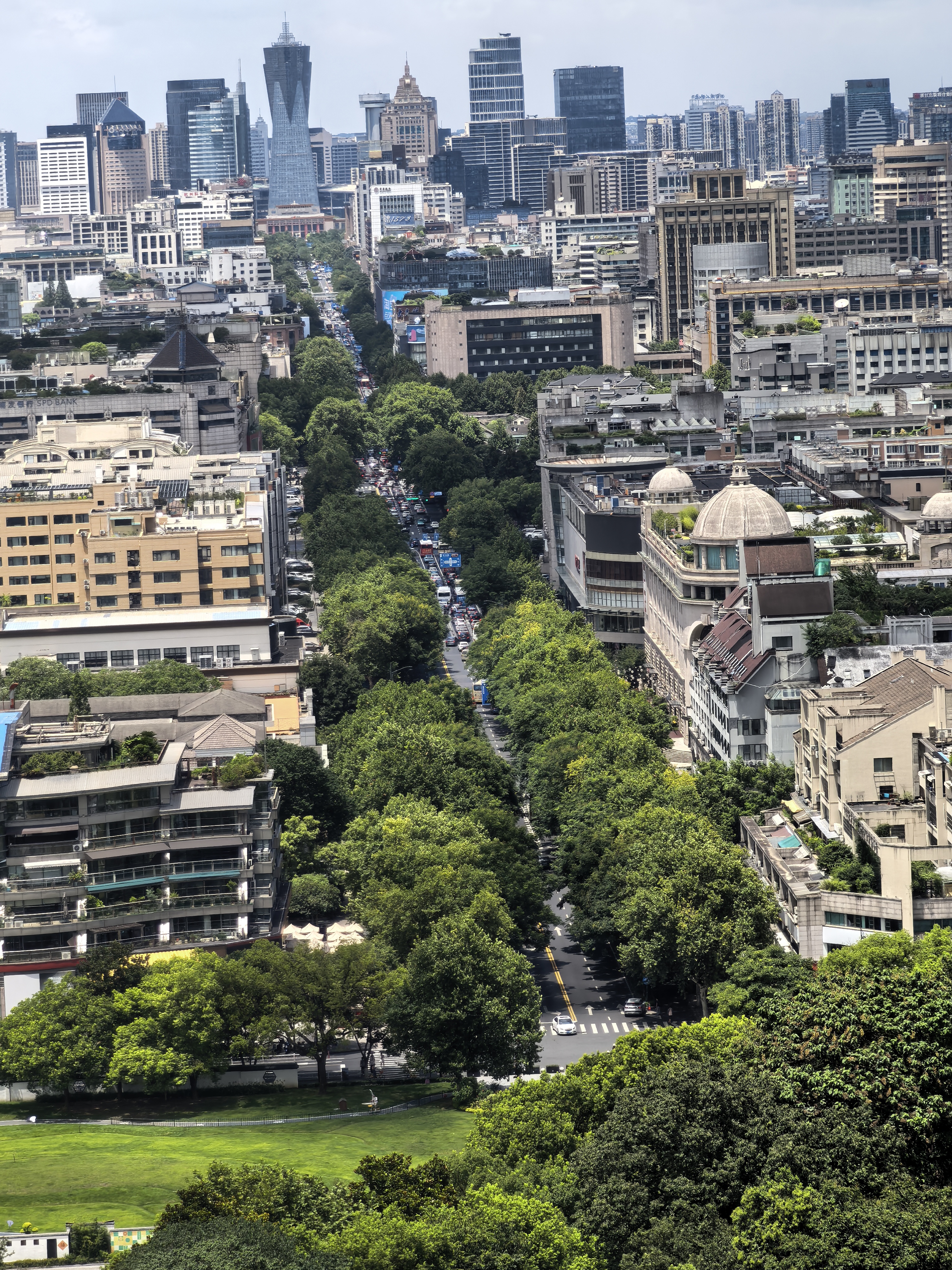 IMG-迟到一年的夏风——一个人在杭州旅行的四日-D221723F0E21E5895A67F936F11B446D.jpg