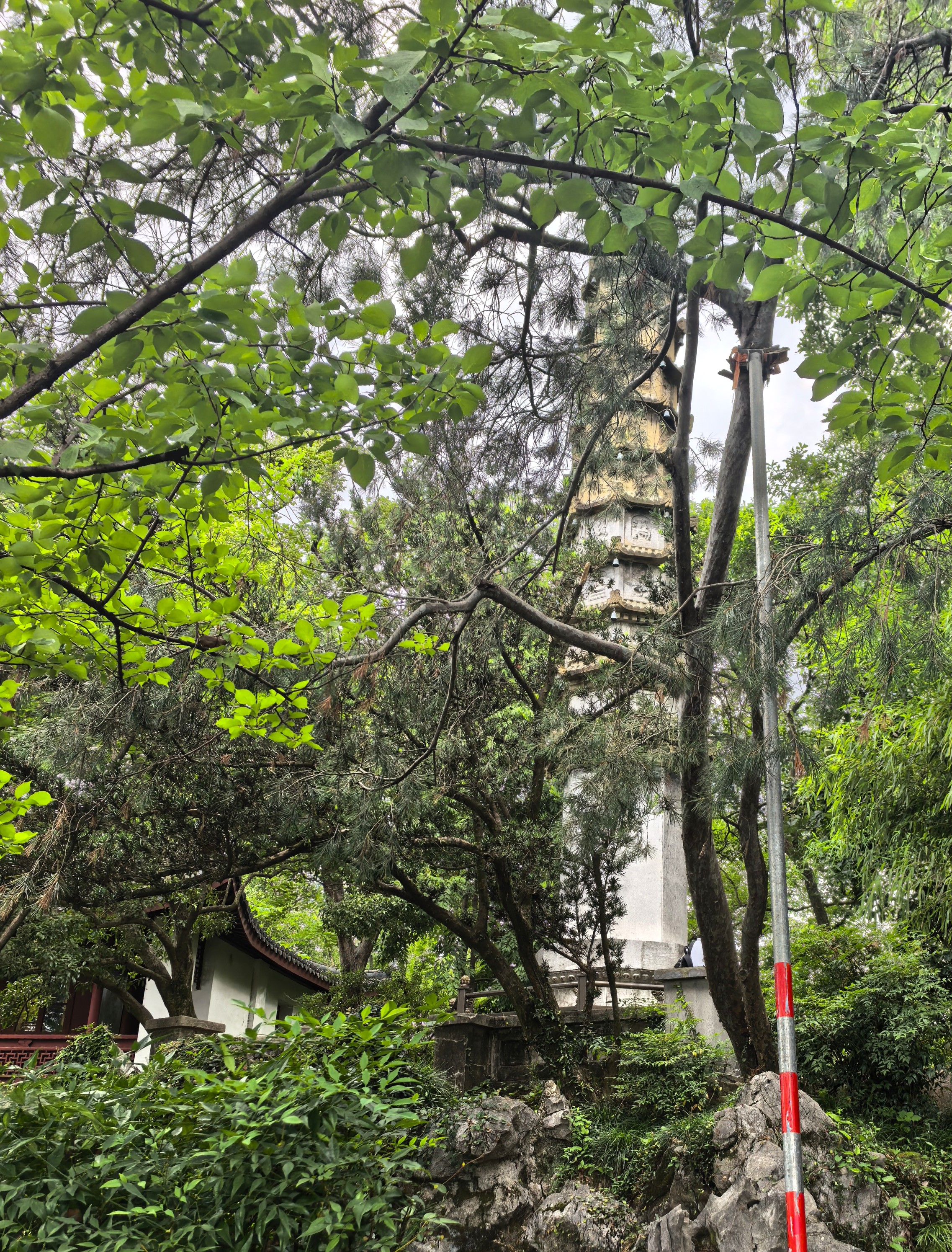 IMG-迟到一年的夏风——一个人在杭州旅行的四日-E95D51C3BEAC3B87ACBFE92D50DF56CF.jpg