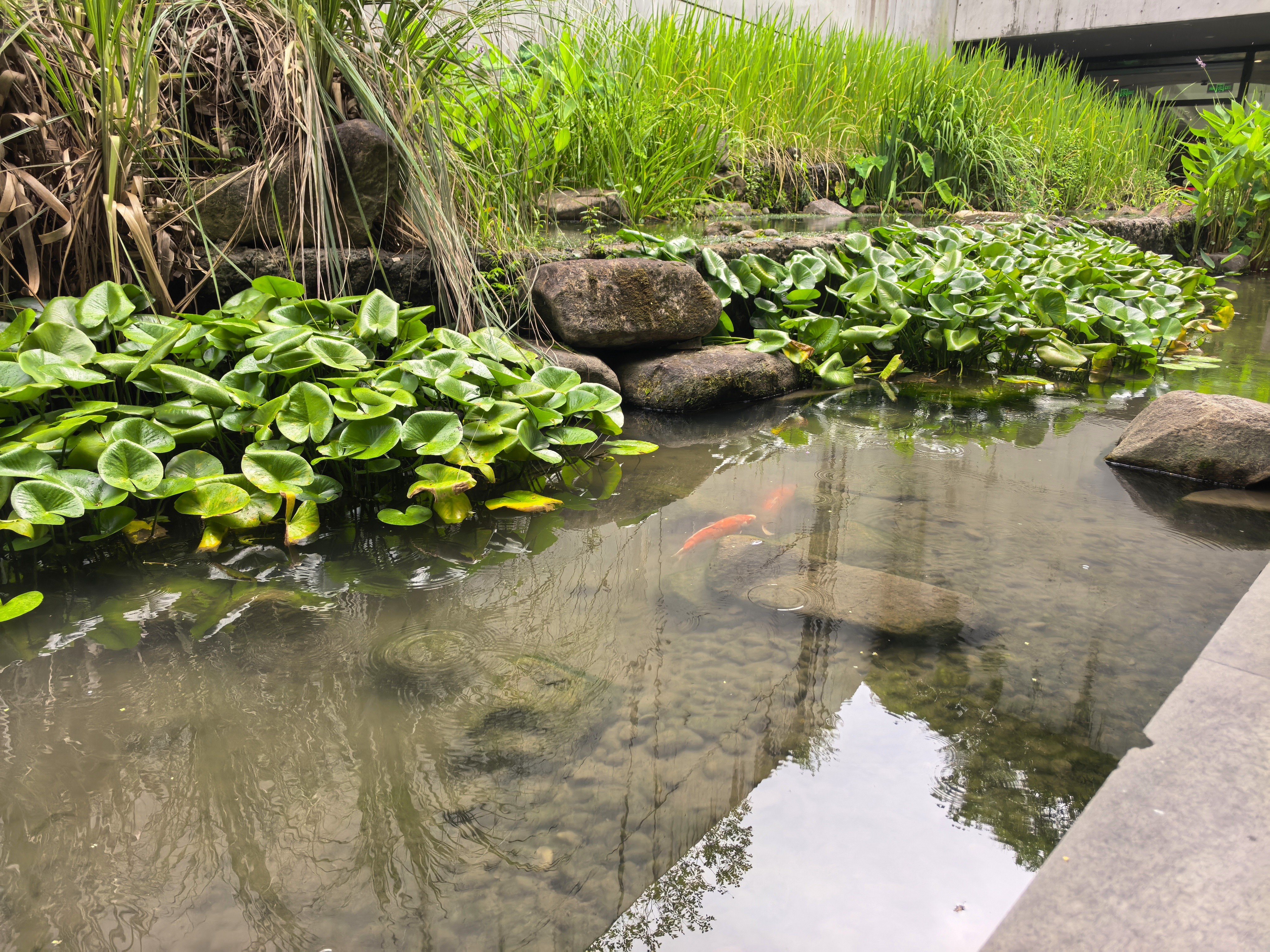 IMG-迟到一年的夏风——一个人在杭州旅行的四日-EF6C54FB856EAC5E09EB114BEF33B757.jpg