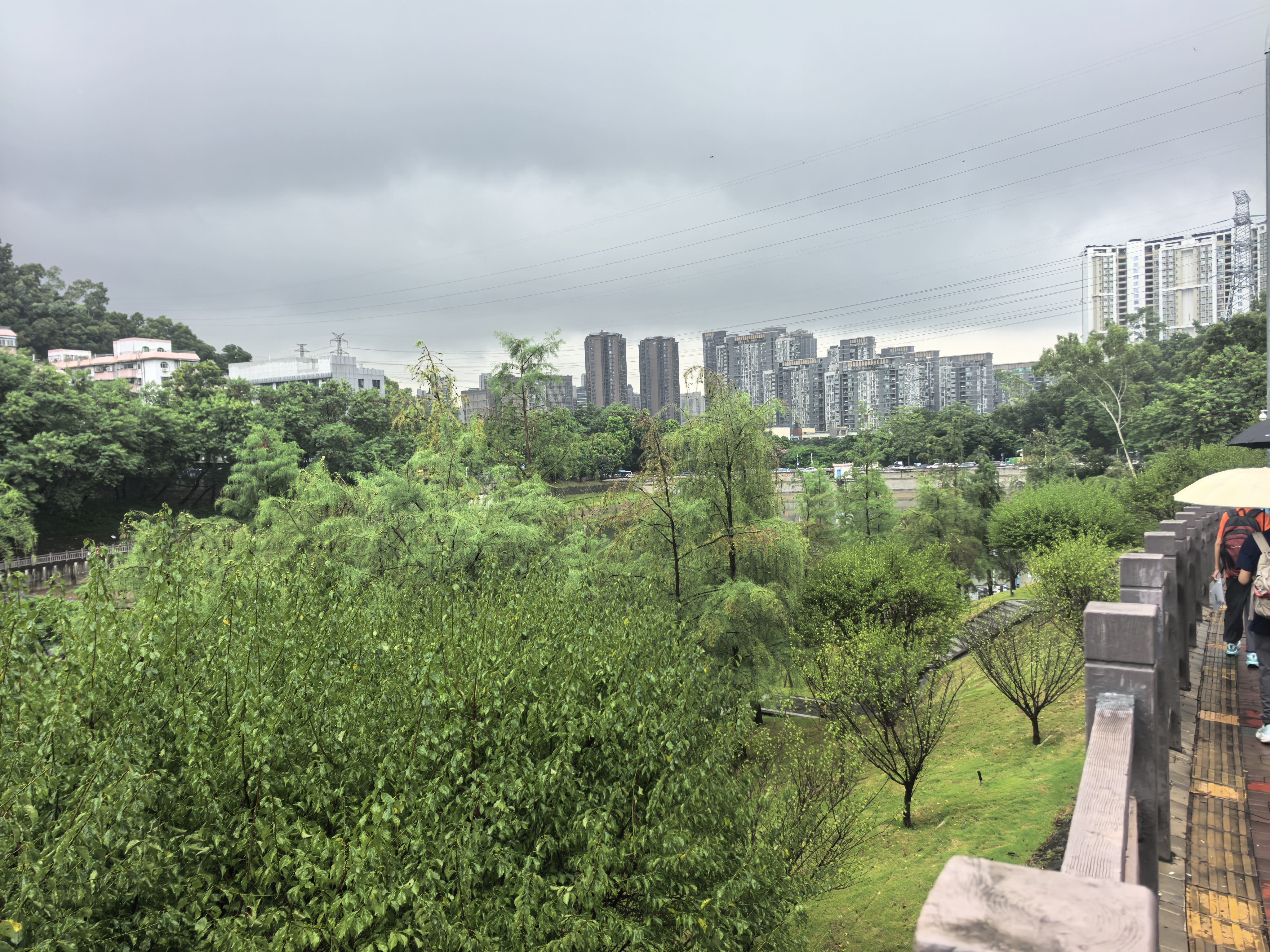 IMG-20250920 235542919-CSP J／S 2025-初赛.jpg