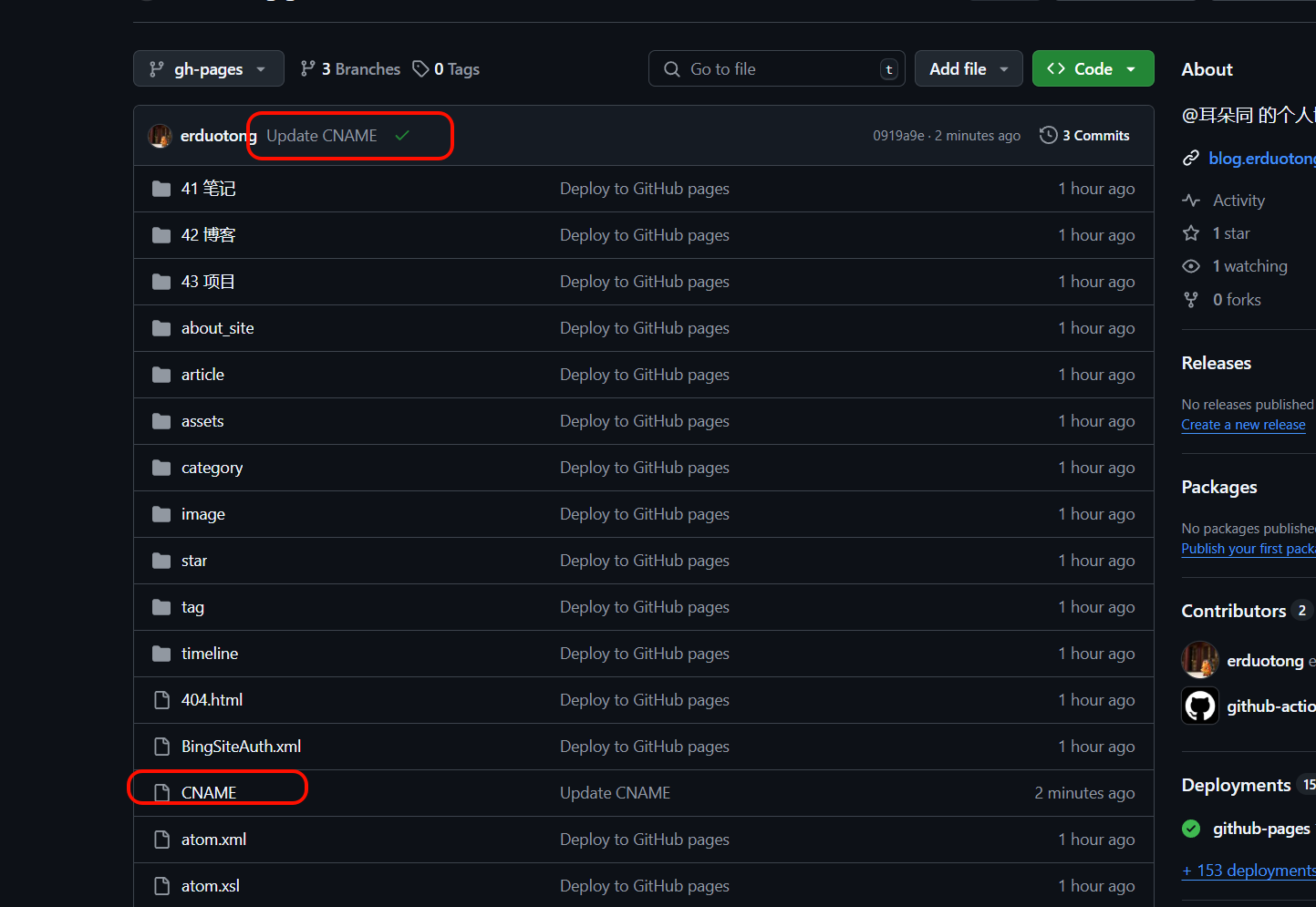 IMG-20251018 215536645-2.4 Github Pages配置自定义域失效.png
